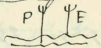 Impossible-To-Identify-These-Inscriptions?